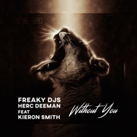 Without You - Single - Freaky DJ's, Herc Deeman & Kieron Smith