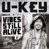 Vibes Still Alive - U-key & Kingston Express
