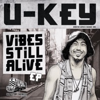 Vibes Still Alive - EP - U-key & Kingston Express