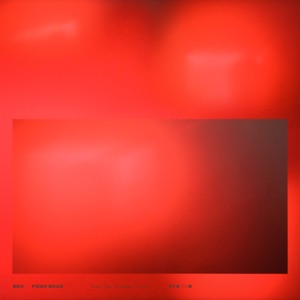 Posh Buzz - Single