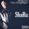 DTL (feat. King Dy Darap Bear) - Sharu lyrics