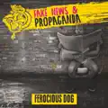 Fake News