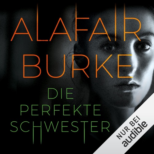 Die perfekte Schwester cover
