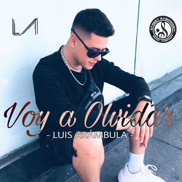 Voy a Olvidar