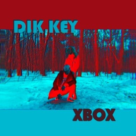 Xbox Dik Key