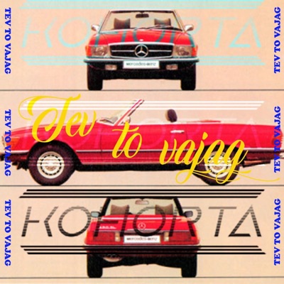 Tev to Vajag - Single