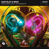 Hide & Seek (feat. Joe Housley) - Single - Sam Feldt & SRNO