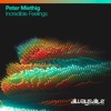 Peter Miethig - Incredible Feelings (Extended Mix)