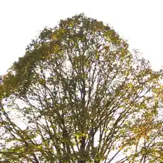 Listen to Aksel Joergensen, watch music videos, read bio, see tour dates & more!