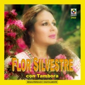 Flor Silvestre Con Tambora artwork