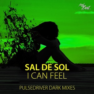 I Can Feel (Pulsedriver Dark Mixes) - Single