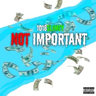 Not Important - Single
