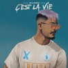 C'est la vie - Single