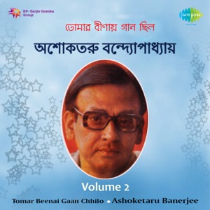 Tomar Beenai Gaan Chhilo, Vol. 2 - EP