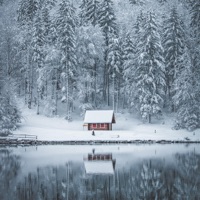 Snowflakes - Single - BIDØ