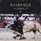 Bull's Hit - Roarfield lyrics