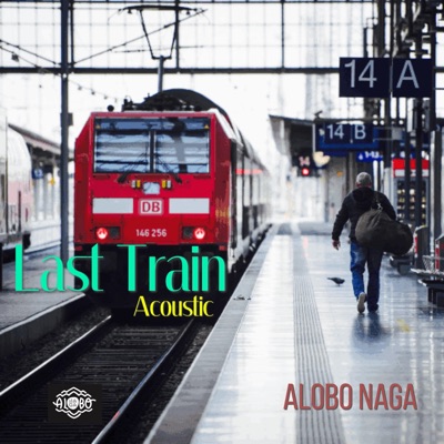 The Last Train - Single