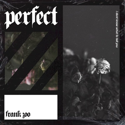 Perfect - Single