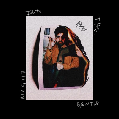 Into the Gentle Night - EP