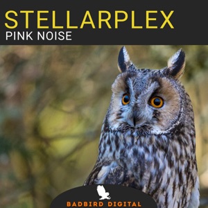 Pink Noise - Single