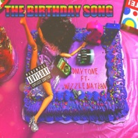 The Birthday Song (feat. Wizzle Nation) - Single - Dmvtone