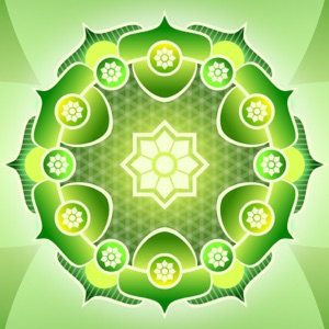 528 Hz the Love Vibration - Solfeggio Frequency Series
