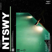 N.T.S.W.Y (feat. Skeeinardo Dicaprio & Bugatti203) - Single - Ammo Gift