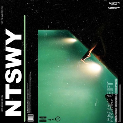 N.T.S.W.Y (feat. Skeeinardo Dicaprio & Bugatti203) - Single