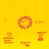 Earth Symphony artwork