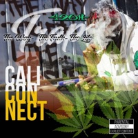 Cali Connect Vol. 2 The Way, The Truth, The Life - 42oH
