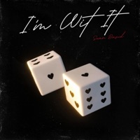 I'm Wit It - Single - Sean David MSX