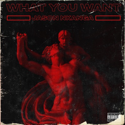 What You Want - Single