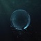 Scuba - Liquos lyrics