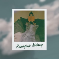 Panaginip Nalang - Single - Disktrack