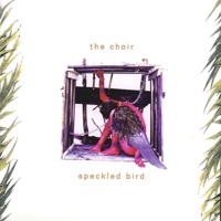 Speckled Bird - The Choir
