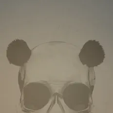 收听 JT Panda、观看音乐视频、阅读小传、查看巡演日期等 ！