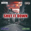 Shut It Down (feat. Nature & Rich KRK) - Single