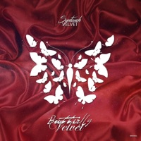 Velvet - Single - Syntouch