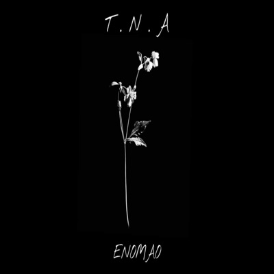 T. N. A. - Single
