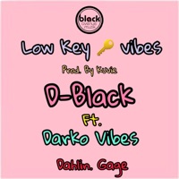 Low Key Vibes (feat. Darko Vibes & Dahlin Gage) - Single - D-Black