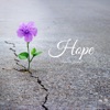 Hope - Single