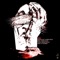Aman (feat. Hamed Nikpay) - Shahin Najafi lyrics