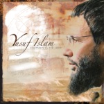 Yusuf Islam - The Wind