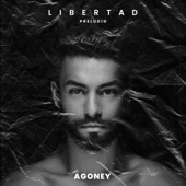 Libertad artwork