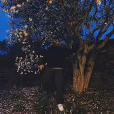 Rayluvsyou सुनें, म्यूज़िक वीडियो देखें, बायो पढ़ें, दौरे की तारीखें और बहुत कुछ देखें!