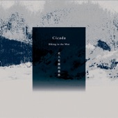 Cicada - Overlook Where We Came From