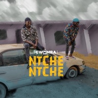 Ntchentche - Single - Gwamba
