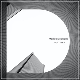 Don't Lose It Marble Elephant