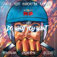 Do What You Want (feat. Nzoe, Riot, Hooksarthur, Kaymerda, Gmoneydmv & Skeezo) - Single - RebelxGenius