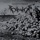 Darvulia - Langues Repugnantes